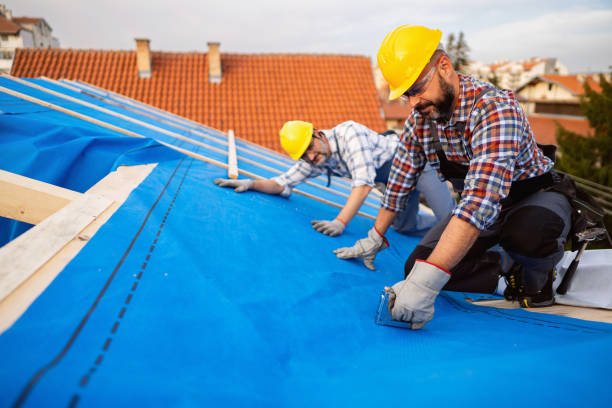 Best Gutter Installation and Roofing  in Stirling, NJ